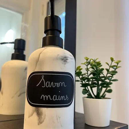 Le Cesar Xvii - Hypercentre Appartamento